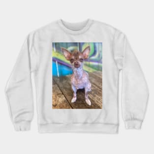 Judgy Crewneck Sweatshirt